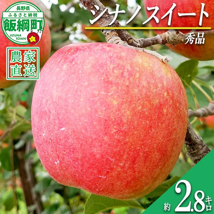 【ふるさと納税】 りんご シナノスイート 秀 2.8kg 信州りんご☆小山園☆ 沖縄県配送不可 令和8年度収穫分 エコファーマー認定 小山園 長野県 飯綱町 〔 信州 果物 フルーツ リンゴ 長野 12000円 予約 農家直送 〕発送時期：2026年10月中旬〜2026年10月下旬