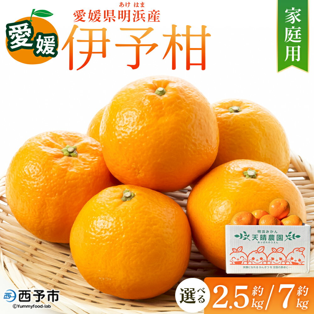 【ふるさと納税】【先行予約】＜伊予柑 家庭用 約2.5kg／7kg＞ 選べる 容量 内容量 ご家庭用 いよかん イヨカン みかん 蜜柑 柑橘 訳あり 果物 くだもの フルーツ ミカン 愛媛 国産 ジューシー 明浜 特産品 笑丸 愛媛県 西予市【常温】『2027年1月下旬より順次出荷予定』