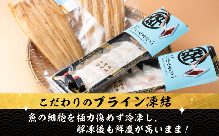 【全3回定期便】対馬産 べっぴんあなご 詰め合わせ 《 対馬市 》【 桐谷商店 】 対馬 新鮮 ふわふわ 穴子 刺身 海産物 魚介 [WAQ004]