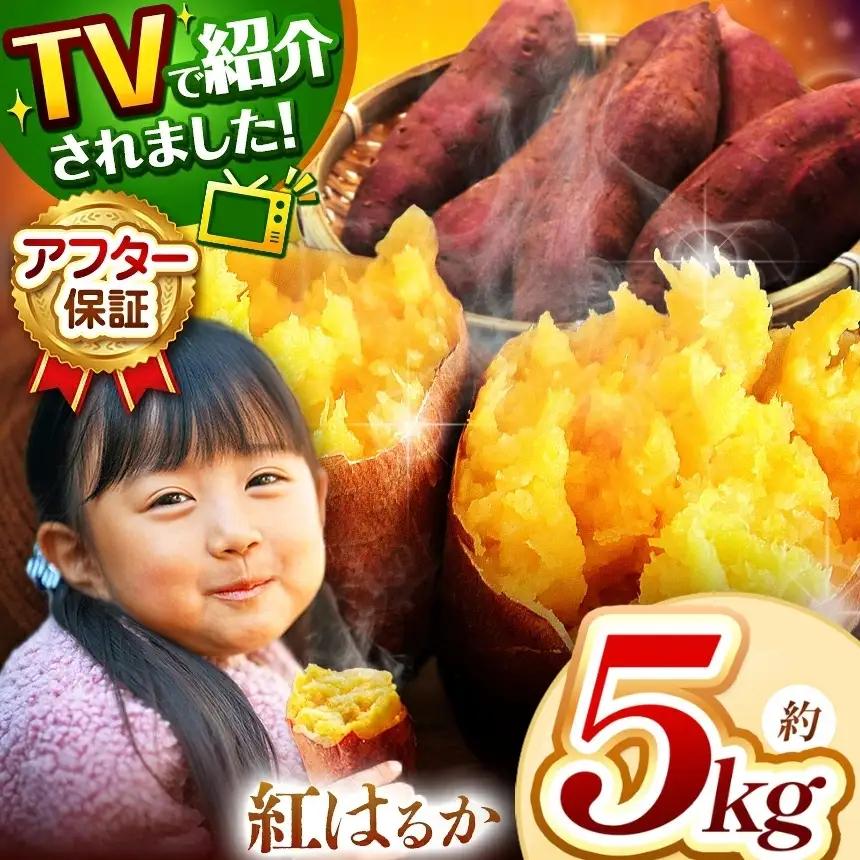 さつまいも TVで紹介！ 【 アフター保証 】甘くておいしい！ 紅はるか 5kg