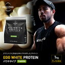 【ふるさと納税】【定期便3ヵ月】REVOPRO EGG WHITE PROTEIN 宇治抹茶味 パウチタイプ1kg プロテイン 乳糖フリー たんぱく質 ボディメイク 体づくり 卵白プロテイン 健康 プロテインパウダー