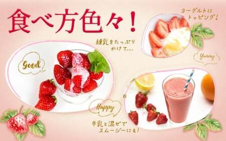 いちご 「あまおう」 約270g×6パック 計約1620g 苺 イチゴ 果物 フルーツ 【2027年2月上旬～2027年3月下旬発送】
