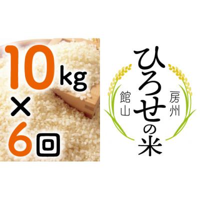 ふるさと納税 館山市 【毎月定期便】〈中旬発送〉ひろせの米 館山市広瀬産こしひかり 10kg全6回