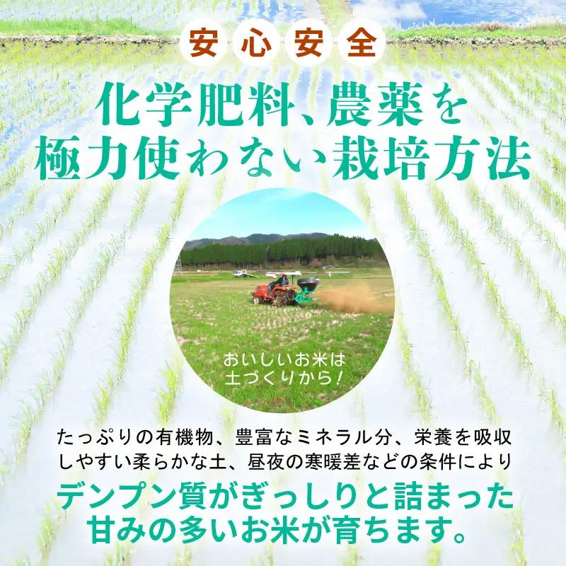 【先行予約】令和8年産 新米  幻のもち米 タンチョウ もち米 1kg（精米）【10月中旬以降発送】 [e35-a061]