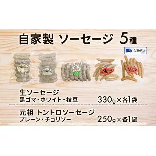 ソーセージ ベーコン 詰め合わせ 6種 豚バラ 豚 肉 朝食 BBQ バーベキューパーティー お肉屋さん バラエティー ウインナー チョリソー ブロック肉 おつまみ ギフト おすすめ おかず 時短 お