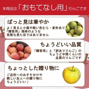 【26年3月出荷予定】平均糖度13度以上! 有袋ふじ 約5kg おもてなし用【配送不可地域：離島・沖縄県】【1613034】