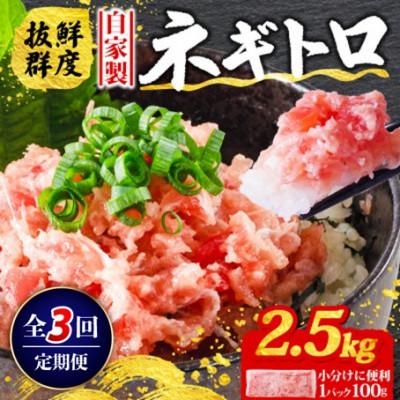 ふるさと納税 松山市 【毎月定期便】ネギトロ 月1回 2.5kg (100g×25パック) 小分け全3回