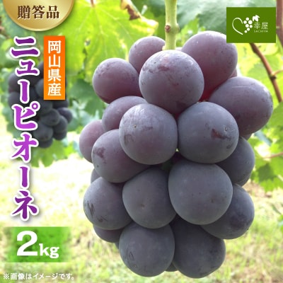 【2027年発送】新鮮・朝採り! 岡山県 吉備高原産ニューピオーネ 2kg箱(3～4房入)ご贈答品