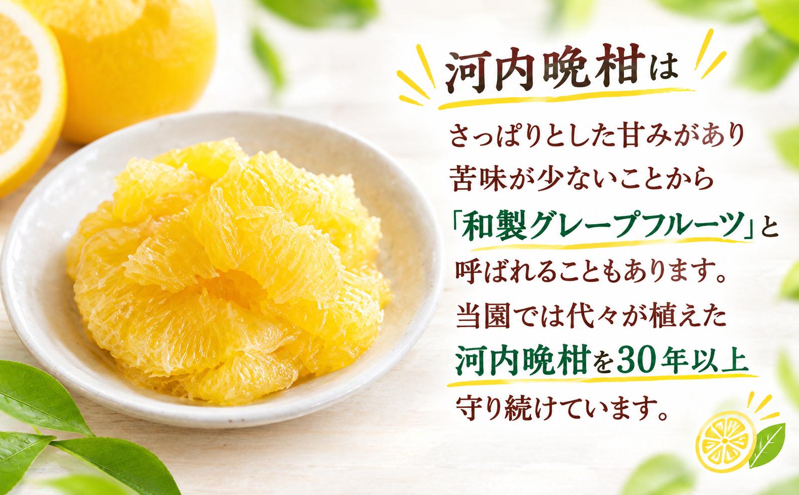 
                  【先行予約】訳あり 愛南ゴールド 約6kg（約5kg＋傷み保障1kg・箱込み） 河内晩柑 木成り 追熟 和製グレープフルーツ 柑橘 みかん ミカン フルーツ 果物 家庭用 サイズミックス 不揃い 傷あり 大容量 ジューシー 甘い 愛媛県愛南町 産地直送 国産 柑橘農家 Legacy Reserve 先代から受け継いだ樹 未来へ残したい味 エニシトラス 旬の味覚 愛媛県産 新鮮 厳選 愛南産
                