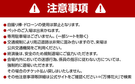 第4回 万博夜空がアートになる日 花火鑑賞チケット ペアVIPシート 観光 イベント 花火大会 シート 万博 万博公園 大阪府高槻市/万博花火プロジェクト[AOBL010]