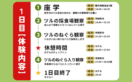 ＜ツルのねぐら・採食場観察ツアー（ねぐら立ち見学付き）＞ つる ツル 鶴 鳥 野鳥 貴重 体験 観察 ツアー ねぐら ネグラ ねぐら立ち ナベヅル 鍋鶴 マナヅル 真鶴 真名鶴 野鳥観察 採食場 西予