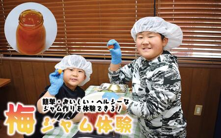 カラフル梅ジュース＆梅ジャムづくり体験チケット  A-097a