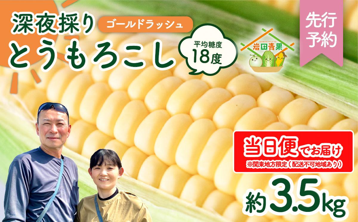 【関東＋山梨県限定 当日便】【先行予約 2026年6月中旬以降発送 】 【 令和8年産 】深夜採り 朝出荷 とうもろこし （ ゴールドラッシュ ） 約 3.5kg トウモロコシ 深夜採り 甘い 新鮮 スイートコーン コーン 野菜 極甘 岩田さん 2026 [AX065ya]