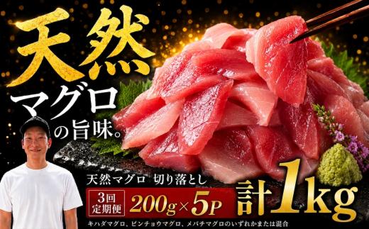 【3回定期便】天然マグロ切り落とし 200g×5P│天然マグロ 切り落とし 刺身 マグロ丼 冷凍 高知県 ふるさと納税 キハダマグロ ビンチョウマグロ メバチマグロ 海鮮 お取り寄せ グルメ 時短 簡単調理 解凍するだけ 一口サイズ 手巻き寿司 具材 ユッケ カルパッチョ 漬け丼 おかず おつまみ ギフト 贈答 贅沢 人気 おすすめ 産地直送 新鮮 晩酌 魚介