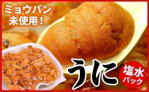 B-07018【年内配送可】 エゾバフンウニ(赤色)塩水パック100g×1P[10月下旬以降発送]