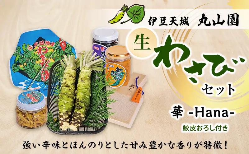 伊豆天城 丸山園 華 わさび 山葵 ワサビ 伊豆天城