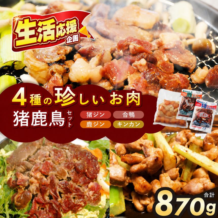 【ふるさと納税】【人気のジビエ】猪鹿鳥セット | 肉 ジビエ 信州 猪 猪肉 馬 鹿 ジビエの聖地 遠山ジンギス セット 贅沢 豪華 おつまみ バーベキュー BBQ 焼肉 アウトドア 高評価 長野県産 長野県 南信州 天龍村