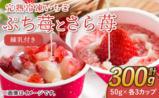 いちご 冷凍 合計6カップ（300g） 練乳 完熟 冷凍 いちご 「ぷち苺」 と 「さら苺」 各3カップ 合計6カップ（300g） 練乳付き  1本（120g） 園村苺園