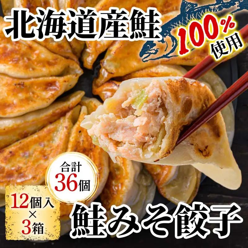 千歳市の高校と天のびろくがコラボ！さけみそ餃子 3箱セット 北海道産 餃子 さけみそ 鮭 味噌 惣菜 冷凍 おかず ごはんのお供 国産 高校コラボ グルメ お取り寄せ ギフト F6S-765