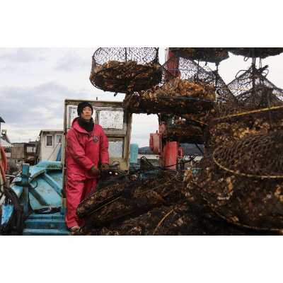 【発送時期が選べる】山口水産の能登かき / 三分缶(約30個入り)◇ ｜ 石川県 七尾市 能登 ※2025年1月中旬頃～4月下旬頃に順次発送予定 ※離島への配送不可