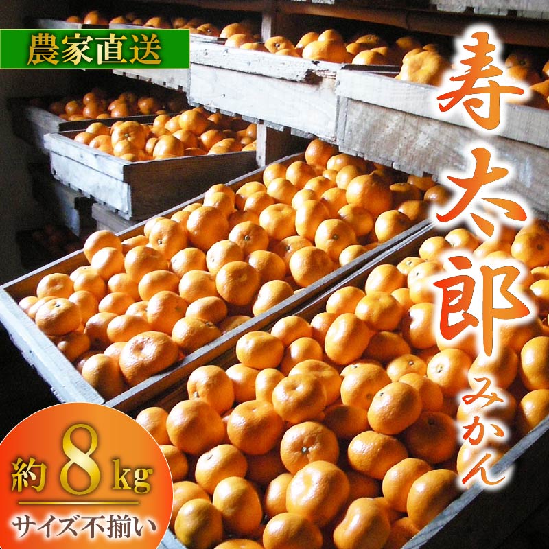【ふるさと納税】 訳あり 寿太郎 みかん 約 8kg 産地直送 柑橘 訳アリ フルーツ 果物 蜜柑 オレンジ ご家庭用 沼津 静岡