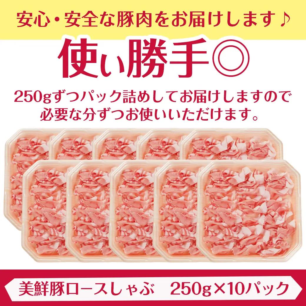 都城美鮮豚ロースしゃぶしゃぶ2.5kg(250g×10パック)〔AC-5405〕_(都城市) 豚肉 ミルフィーユ鍋 しゃぶしゃぶ 炒め物 丼物 アレンジ豊富 パック詰め 