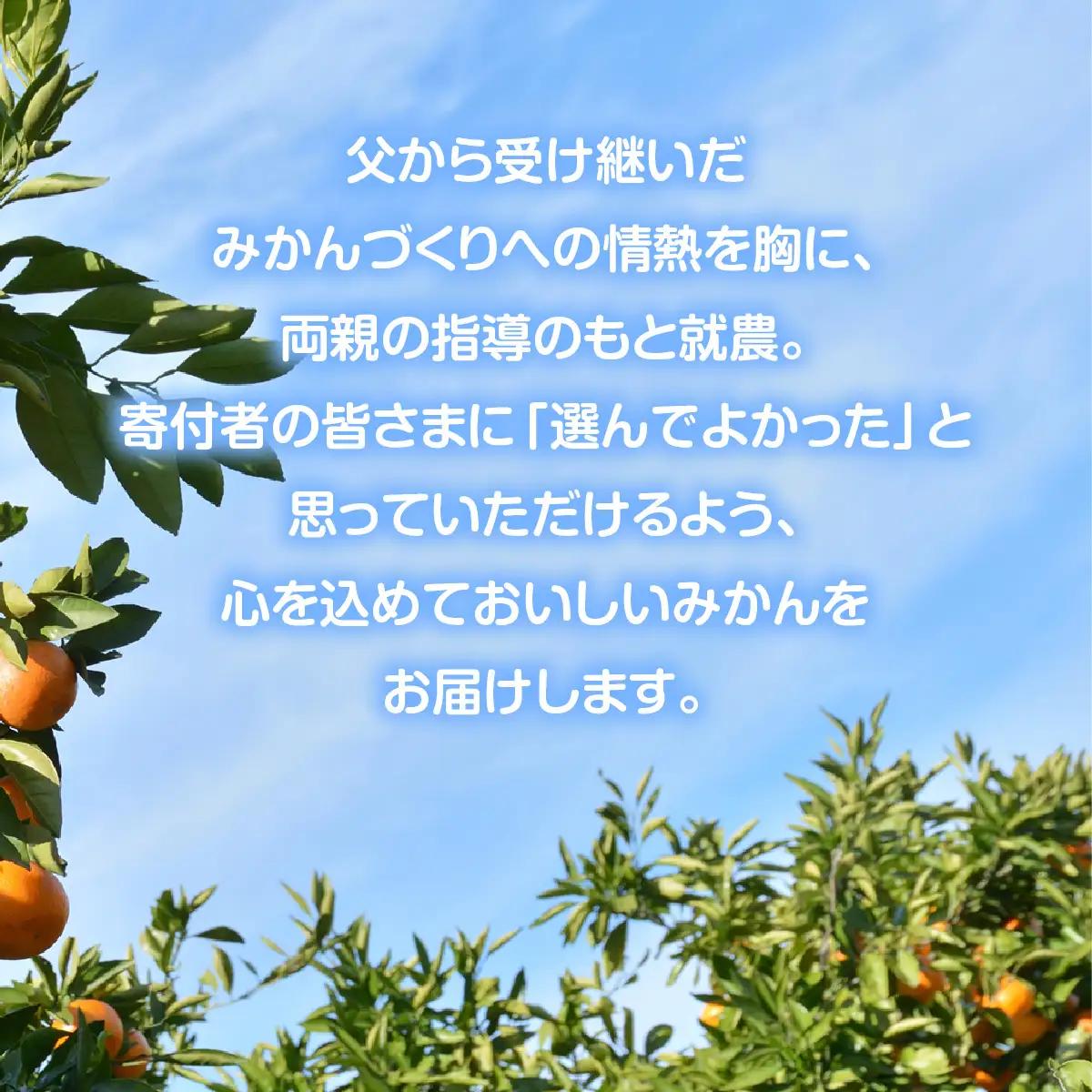 甘平ジュース720ml 4本【D101-3】YWTBV003
