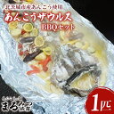 【ふるさと納税】【ふるさと納税限定】あんこうザウルスBBQセット(AM011)