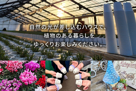中山園芸 商品券 30,000円分（15,000円分×2枚） A07-026