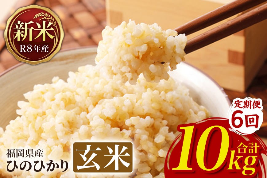 【6回定期便】 ひのひかり 米 お米 玄米 10kg 10キロ 令和8年産 新米 福岡県産 うきは市 国産 精米 ご飯 ごはん おにぎり お弁当 人気 おすすめ 家庭用 ギフト プレゼント お中元 お