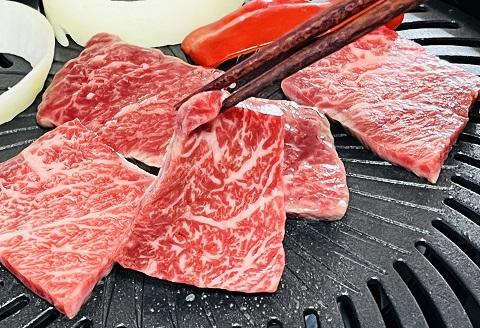 佐賀牛 カルビ焼き肉用 500g：B230-003