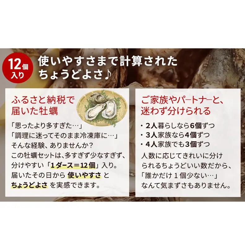 【 3ヵ月 定期便 】 北海道厚岸産 生食用 殻付カキ 3Lサイズ  12個　マルえもん 魚貝類 海の幸 海のミルク 海鮮 国産 北海道産 オイスター つまみ お酒 あて 肴 生牡蠣 メルマガ掲載商品