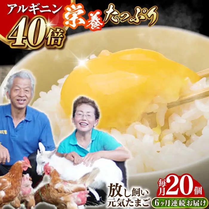 【全6回定期便】アルギニン元気たまご 20個×6回お届け 定期便 (月1回) 自然栽培 たまご 卵 [EA16]