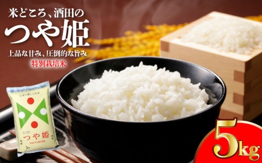 つや姫 計5kg 5kg×1袋 特別栽培米 令和7年産米 米 白米 精米 ブランド 東北 山形 酒田 庄内 農協 JAそでうら　SA2942