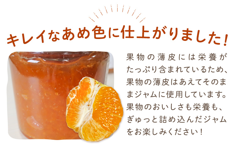 ジャム フルーツ 不知火 りんご しらぬひとりんごのゴロゴロジャム 1個 (1個250g) 有限会社美馬交流館《30日以内に出荷予定(土日祝除く)》徳島県 美馬市 送料無料 ジャム 果物 果肉 ごろご
