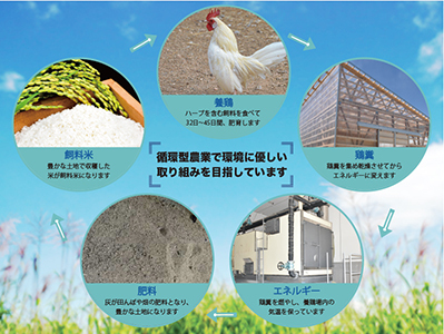 葛尾村産ハーブ鶏まるごと５㎏セット　　モモ肉５００g×２パック・ムネ肉５００g×２パック・ササミ５００g×２パック・手羽先５００g×２パック・手羽元５００g×２パック　鶏肉　冷凍