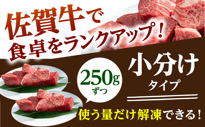 【全3回定期便】佐賀牛 ヒレ サイコロステーキ 500g(250g×2パック)【山下牛舎】 [HAD072]