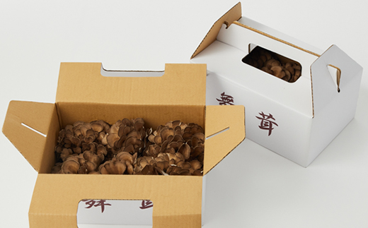 舞茸　12株【配送不可地域：離島】