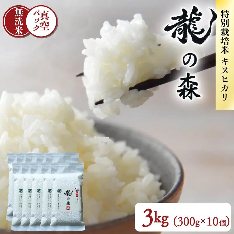 【パックご飯】無洗米 京都府産キヌヒカリ パックご飯 300g×10個 龍の森