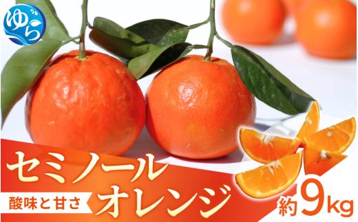 【来シーズン先行予約】セミノール 約9kg   ※2026年4月上中旬～順次発送 /  みかん 晩柑 人気 柑橘 スマイルカット  蜜柑 フルーツ 果物 くだもの 食品 人気 おすすめ 送料無料 産地直送 和歌山県 由良町【kzmn014】