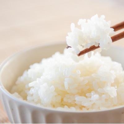 ふるさと納税 丹波篠山市 丹波篠山産コシヒカリ玄米 計30kg |  | 01