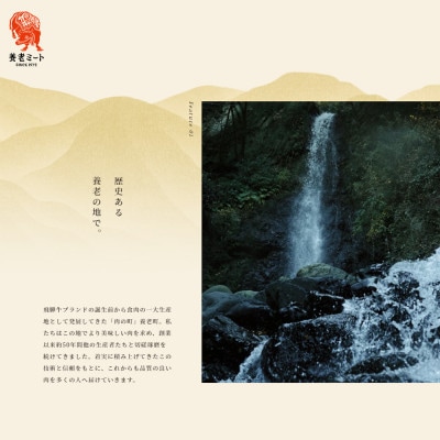 【毎月定期便】月替わりで色々な飛騨牛を楽しめる全6回【配送不可地域：離島】