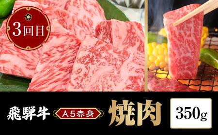 飛騨牛 A5 赤身 定期便 全3回 1kg 牛肉 | 定期便 HF101
