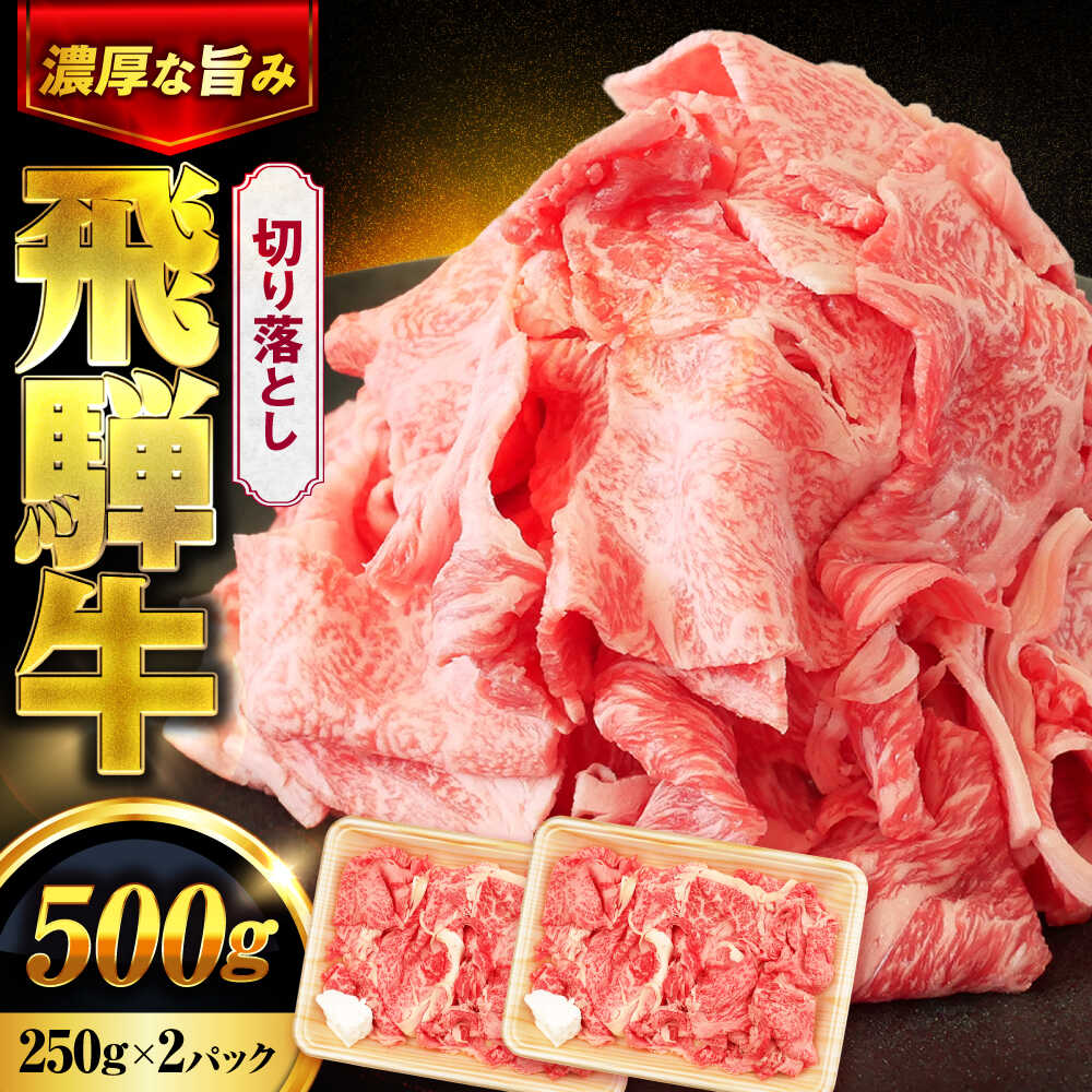 【ふるさと納税】飛騨牛 切り落とし 500g(250g×2パック) 【土岐市観光協会】牛肉 黒毛和牛 赤身 霜降り[MHI005]