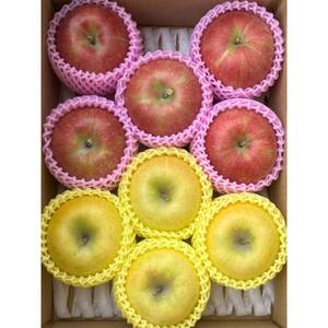 贈答用 シナノスイート、シナノゴールド詰合せ 約3kg【1551864】