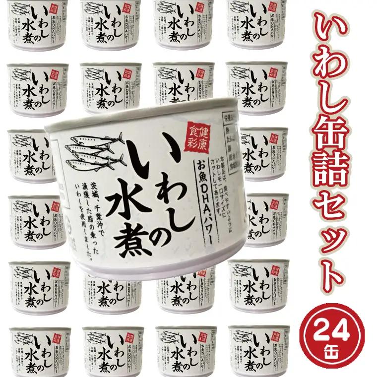いわし 缶詰 水煮 24 缶 _AL019
