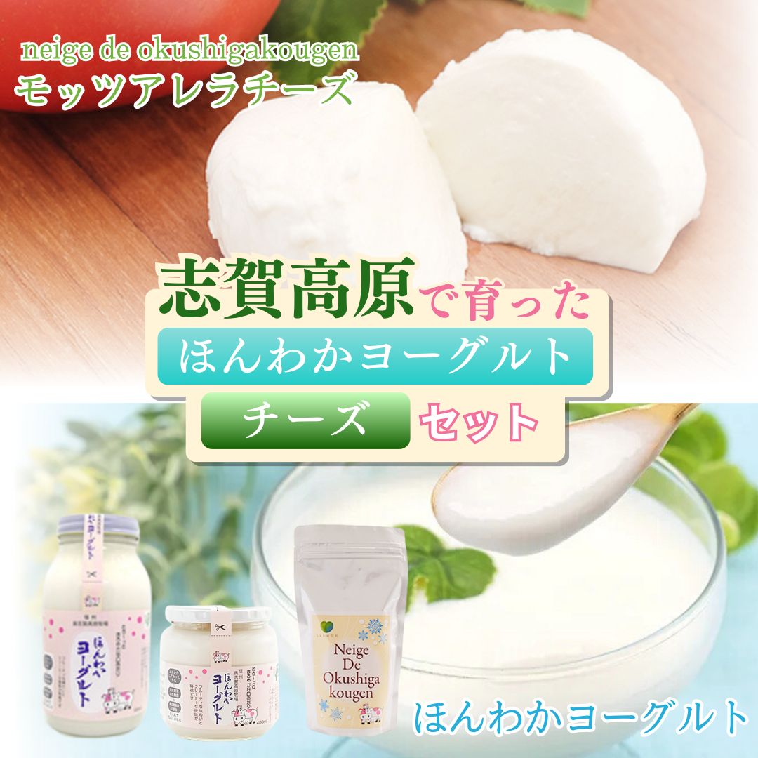 【ふるさと納税】志賀高原で育った ほんわかヨーグルト・チーズセット 乳製品 加工食品
