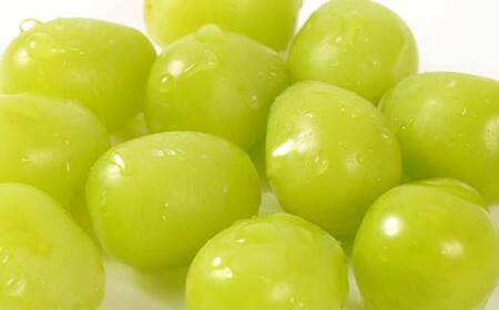 【先行予約（2025年9月より順次発送）】【満足の2～3房】こだわりのシャインマスカット 約1.2kg 山形県産 FSY-2088