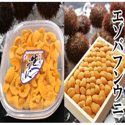 ふるさと納税 根室市 エゾバフンウニ1折・塩水パック1P[2025年3月上旬以降発送]  D-53036 | 