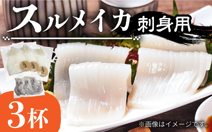 スルメ 刺身用 （生食用）3杯 《壱岐市》【株式会社マルショウ】 いか イカ スルメ おつまみ 刺身 [JEW009] 11000 11000円